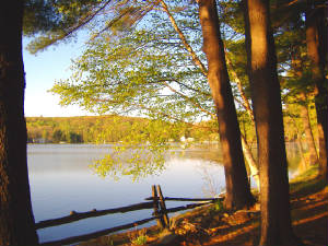 viewfromdeck2.jpg